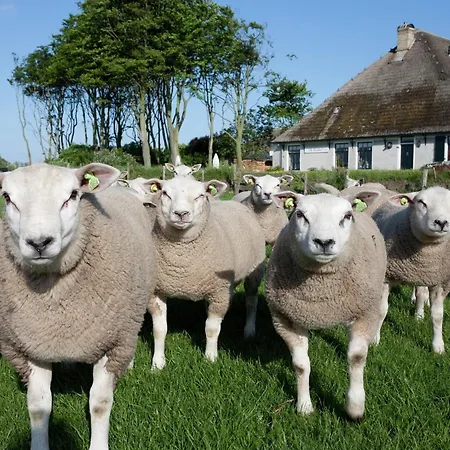 In Texel Near De Koog (Texel)