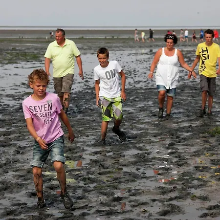In Texel Near