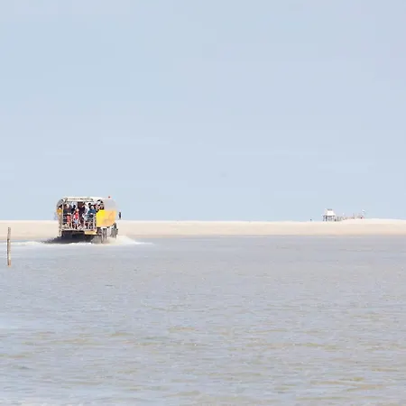 In Texel Near Villa *