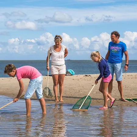 In Texel Near Villa De Koog (Texel)