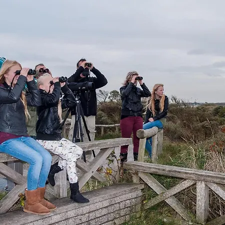 In Texel Near *