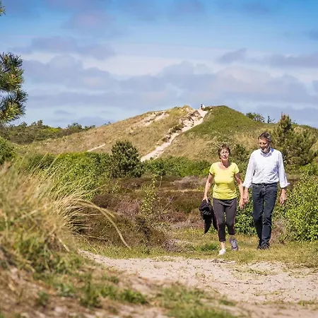 In Texel Near
