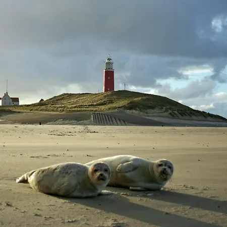 In Texel Near * De Koog (Texel)