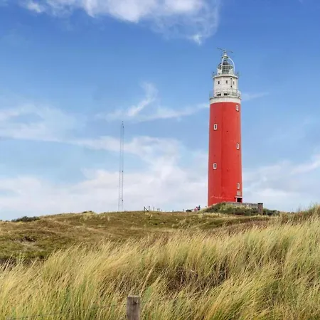 In Texel Near Villa *
