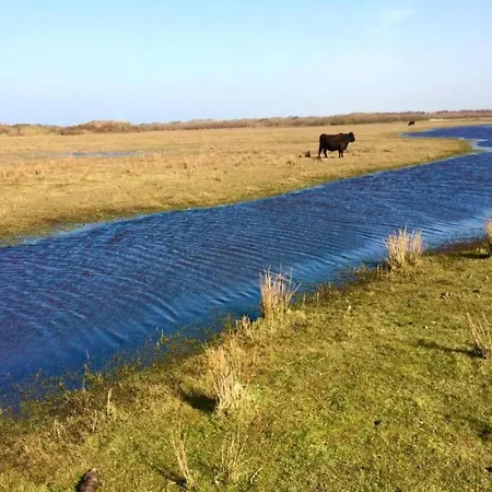 Villa In Texel Near *