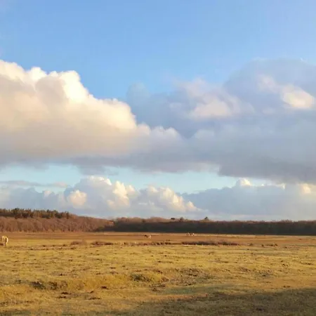 In Texel Near *
